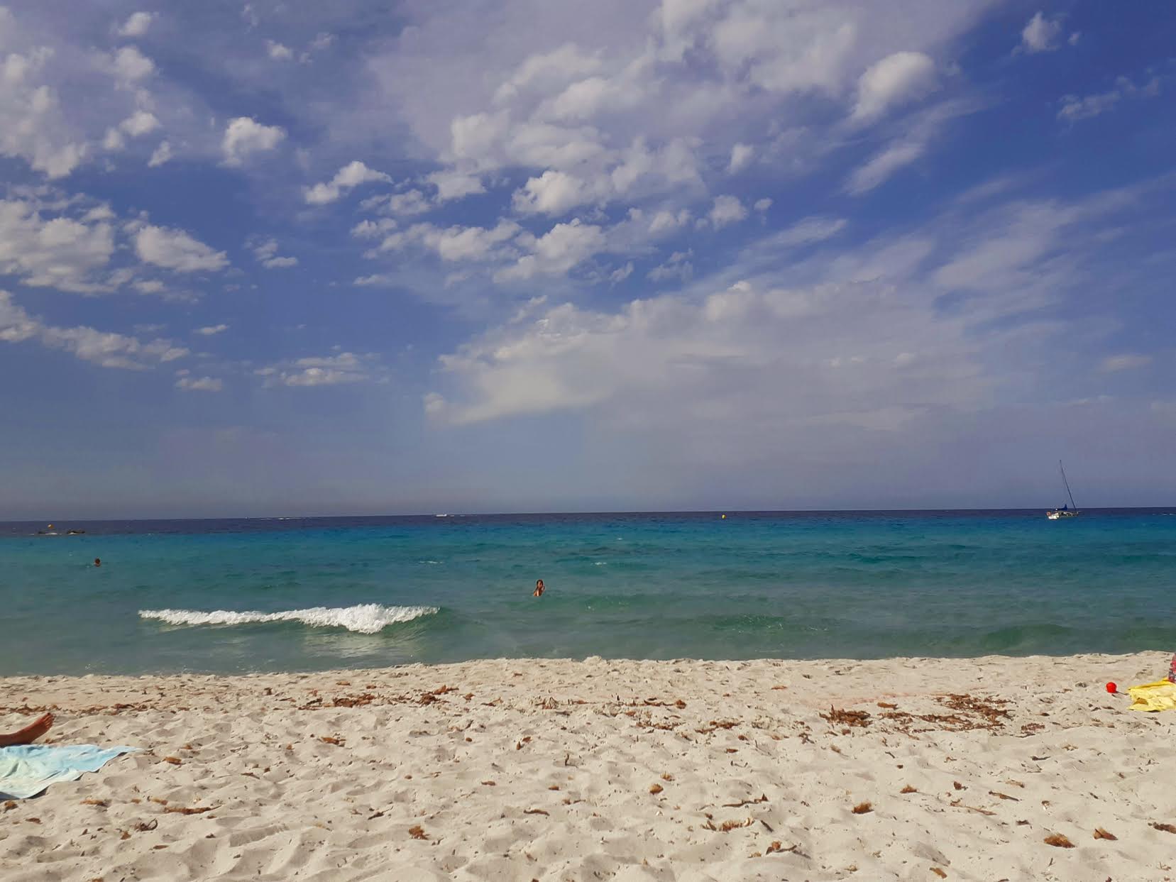 Rena di Caruchettu in Lisula (Françoise Geronimi)