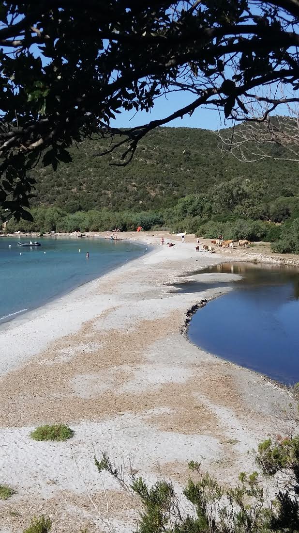 Monaccia d'Aullène (Danielle Ferbos)