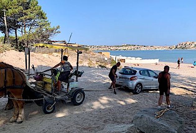 La scène s'est déroulée ce dimanche matin sur la plage de Calvi