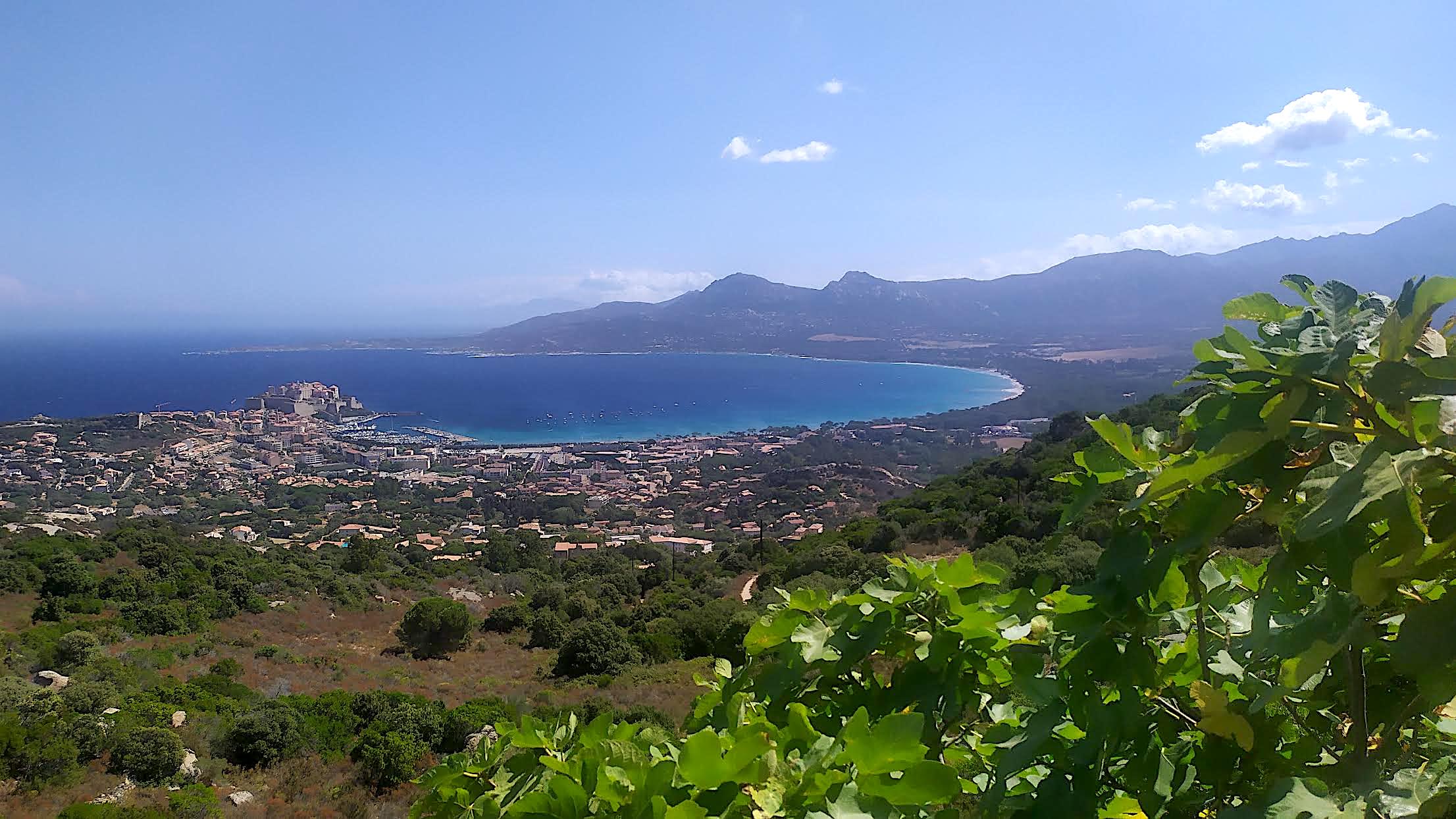 La photo du jour : la baie de Calvi vue de Notre Dame de la Serra