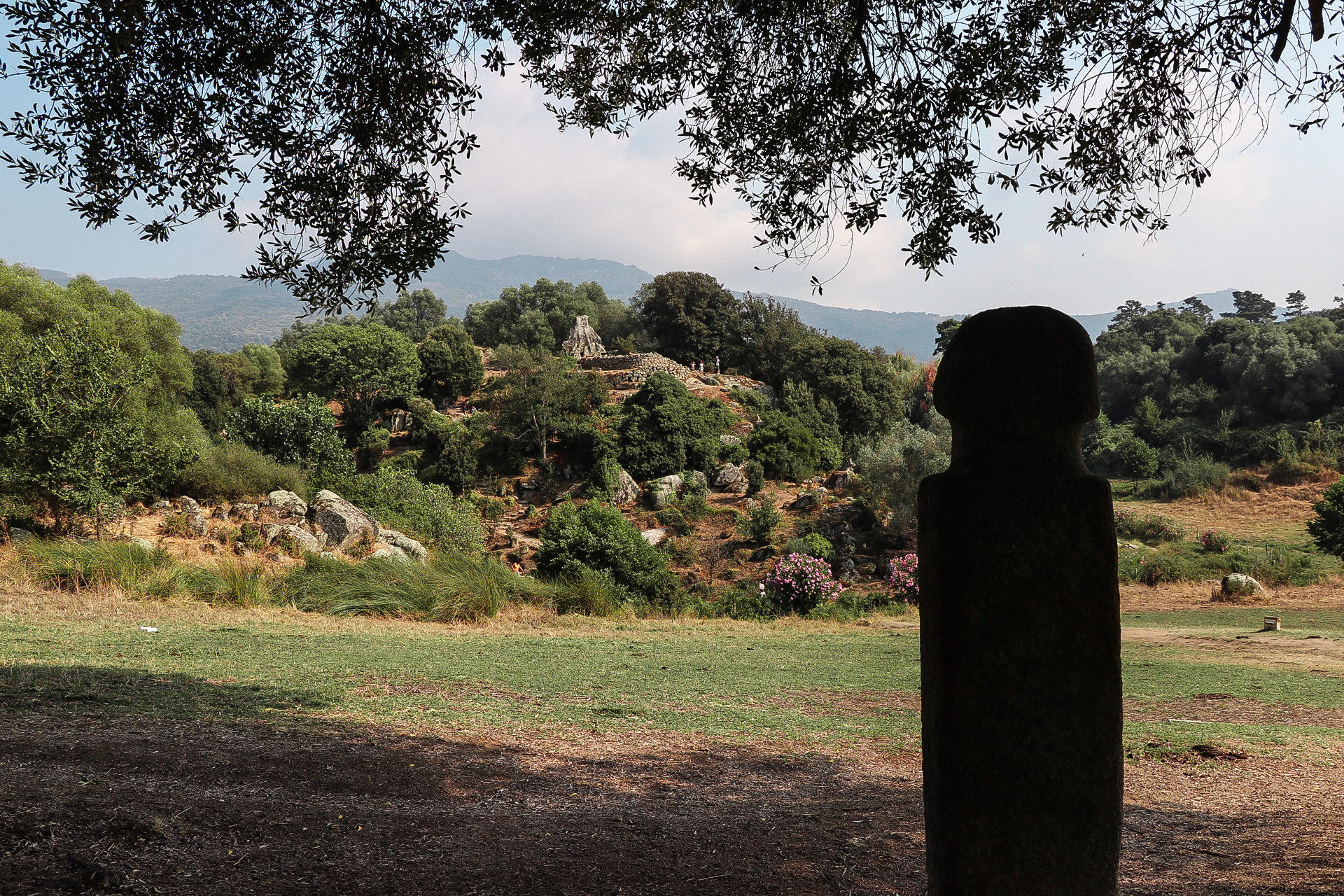 La photo du jour : un menhir regarde le site de Filitosa 