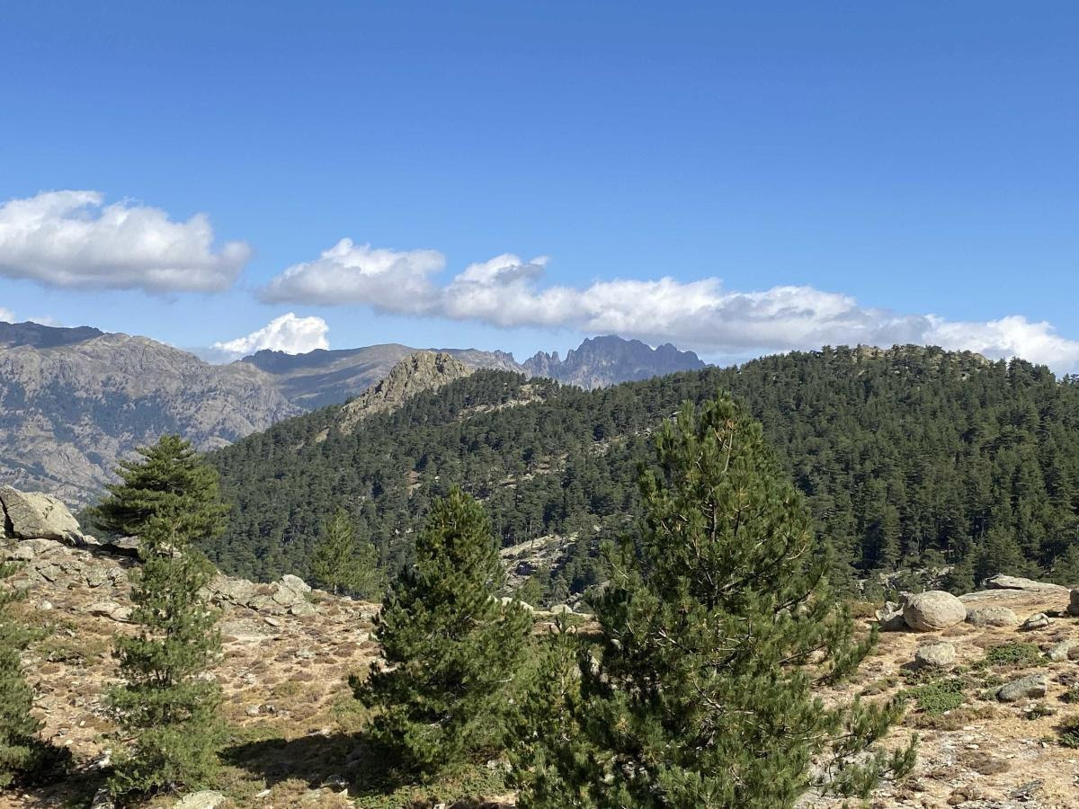 È muntagne Curscinche viste da i stazzi di a Ciaretta . Monte Uddu è a Cima a i Mori. (Ritrattu da Rafettu Moretti)