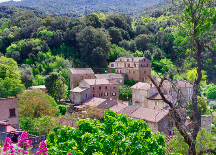 Crédit photo http://www.pieveornano.fr/