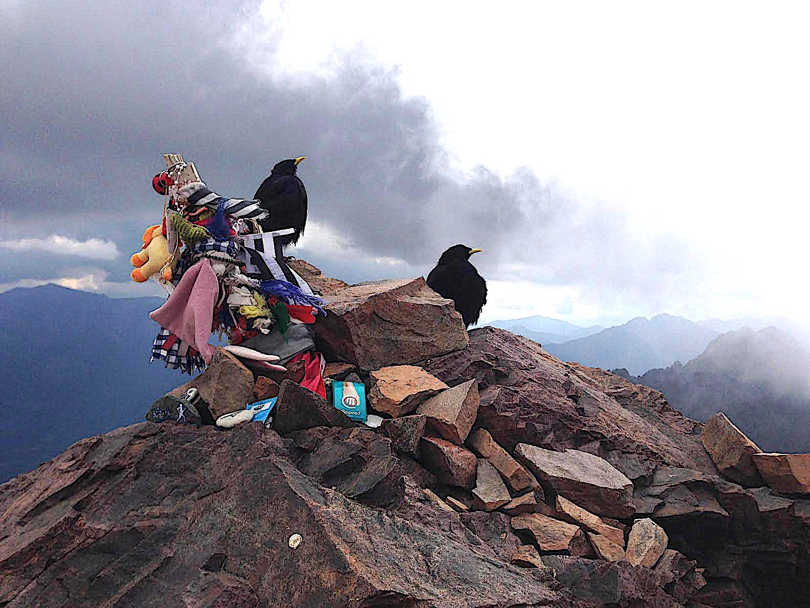 La photo du jour : E ghjarghe rosse ont leurs gardiens