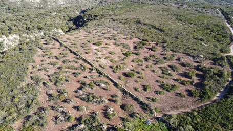 Des îlots pour sauver la biodiversité