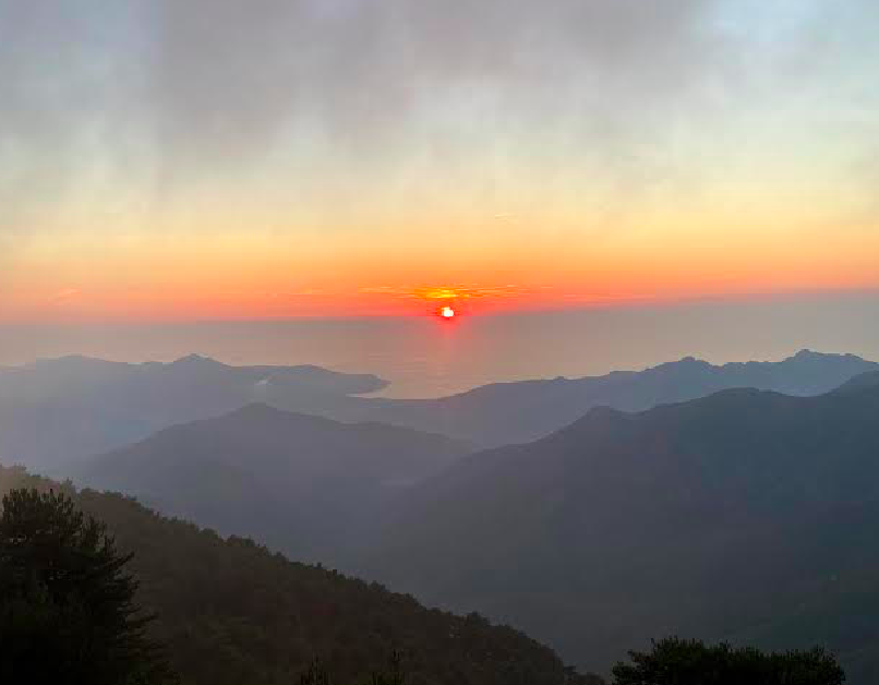 Photo David Dellacroce