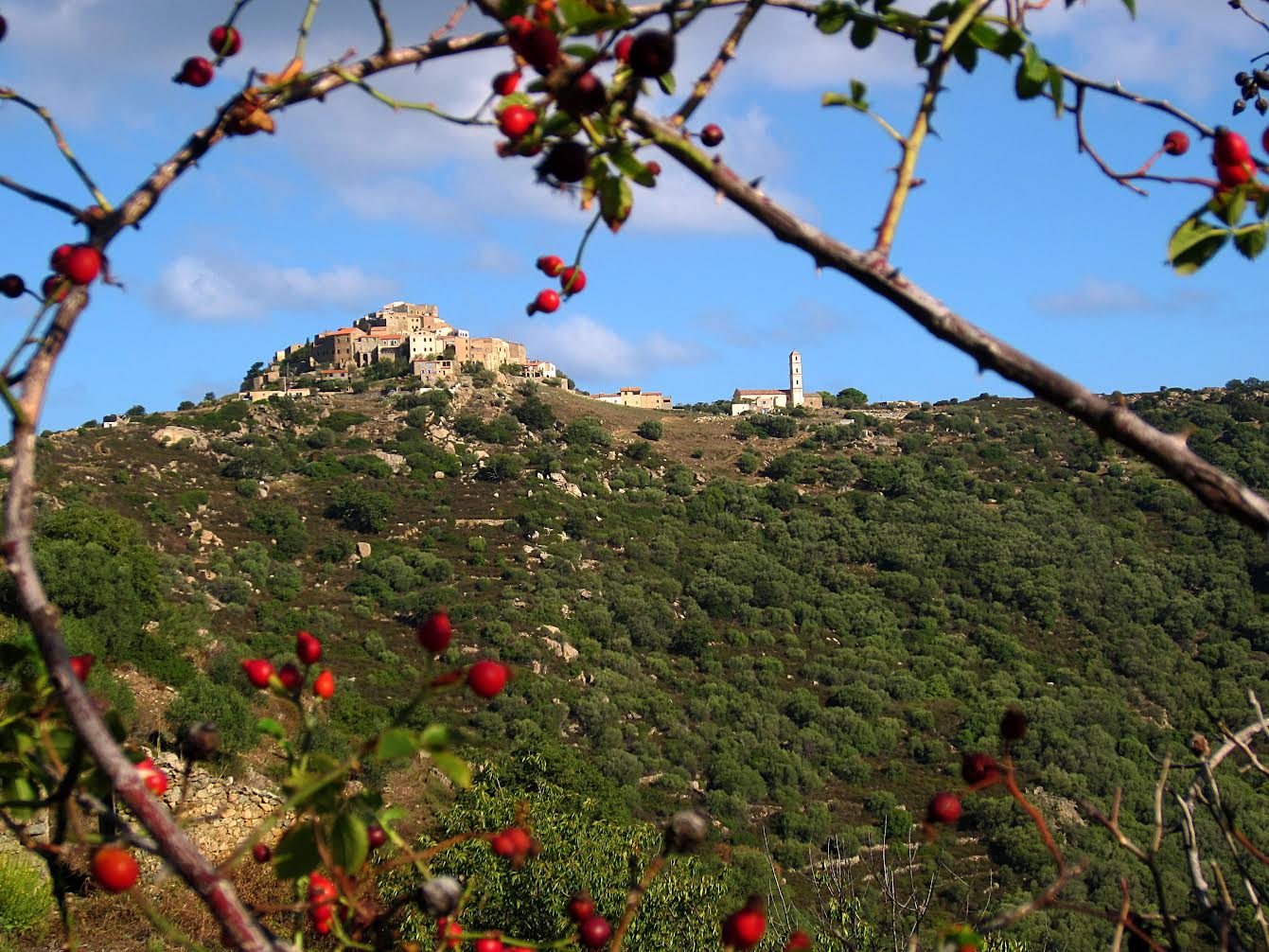 La photo du jour : la beauté de Sant' Antoninu