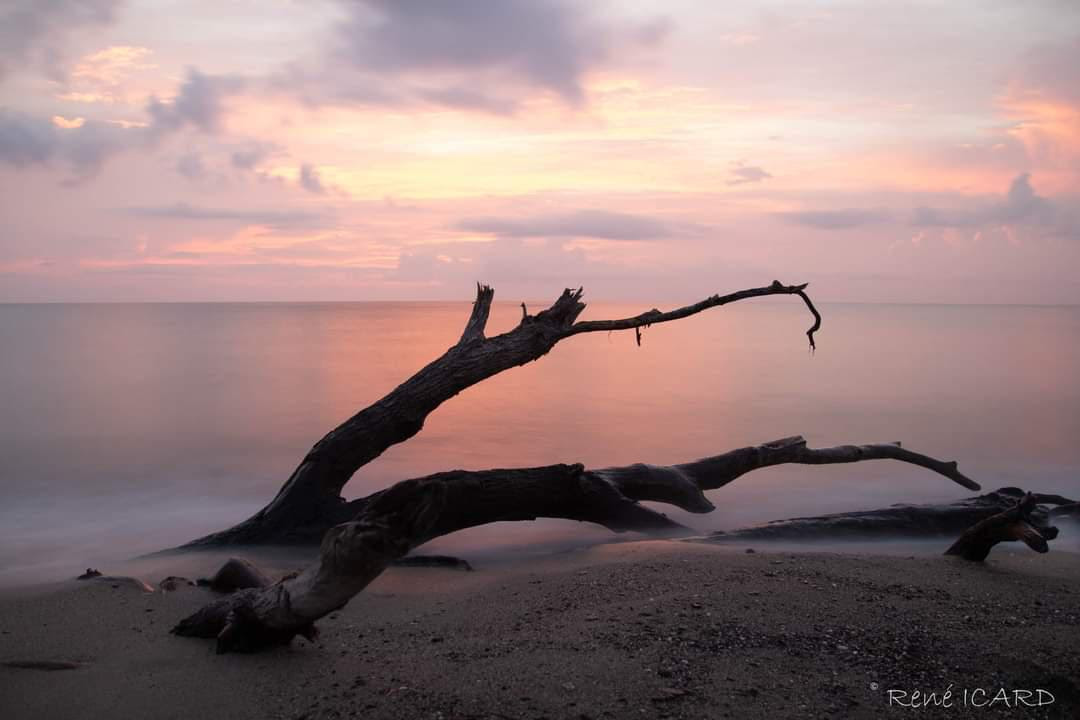 La photo du jour : lever de soleil rose à la Marana