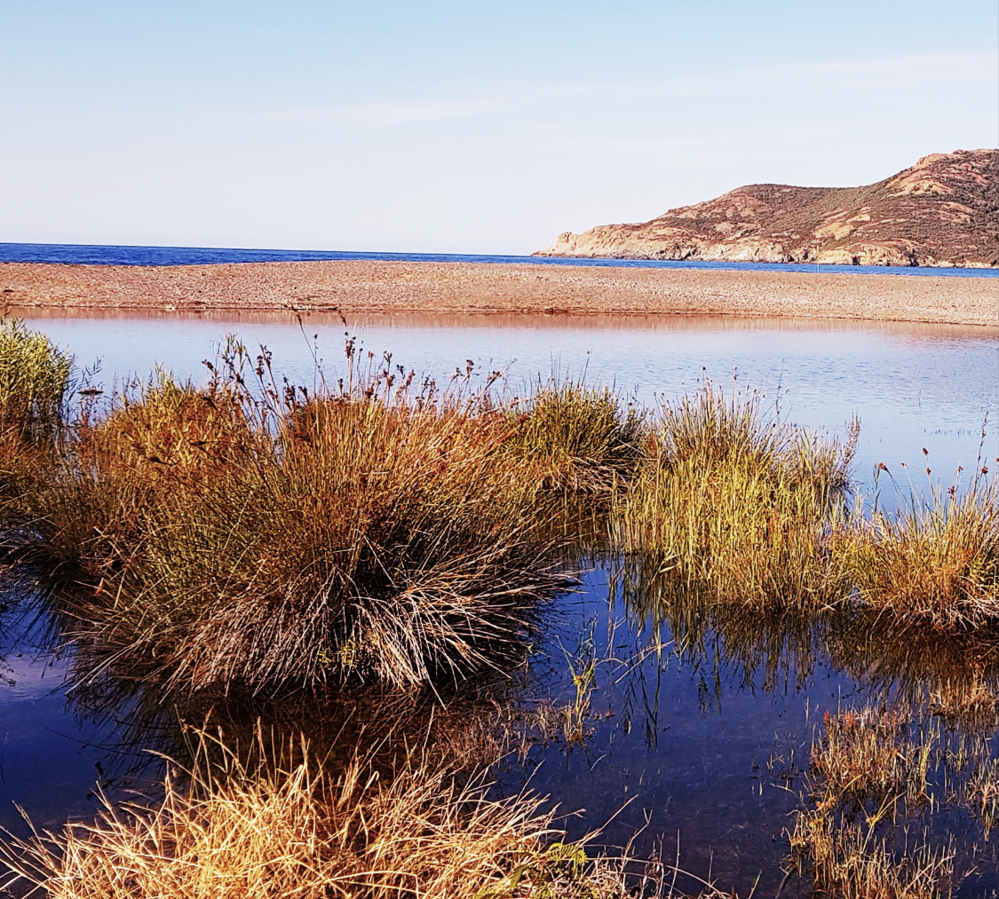 Embouchure du Fango à Galéria  Dimanche 16 octobre - 15 h 30 Photo Dominique Corteggiani