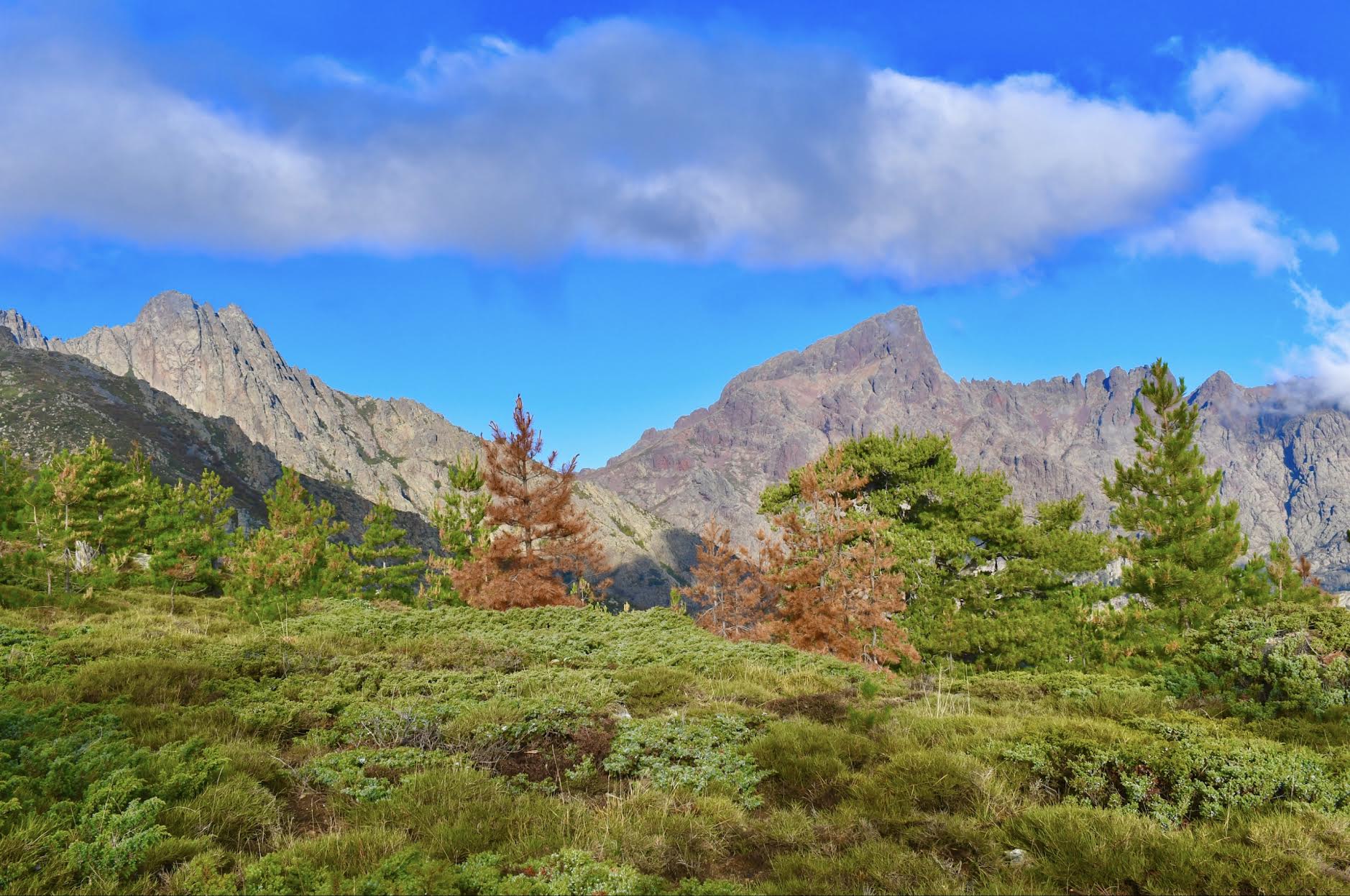 La photo du jour : entre Punta Licciola et Paglia Orba