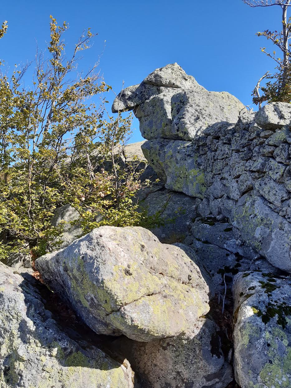 La photo du jour : Sur les crêtes du val d'Ese.... un homme vous regarde