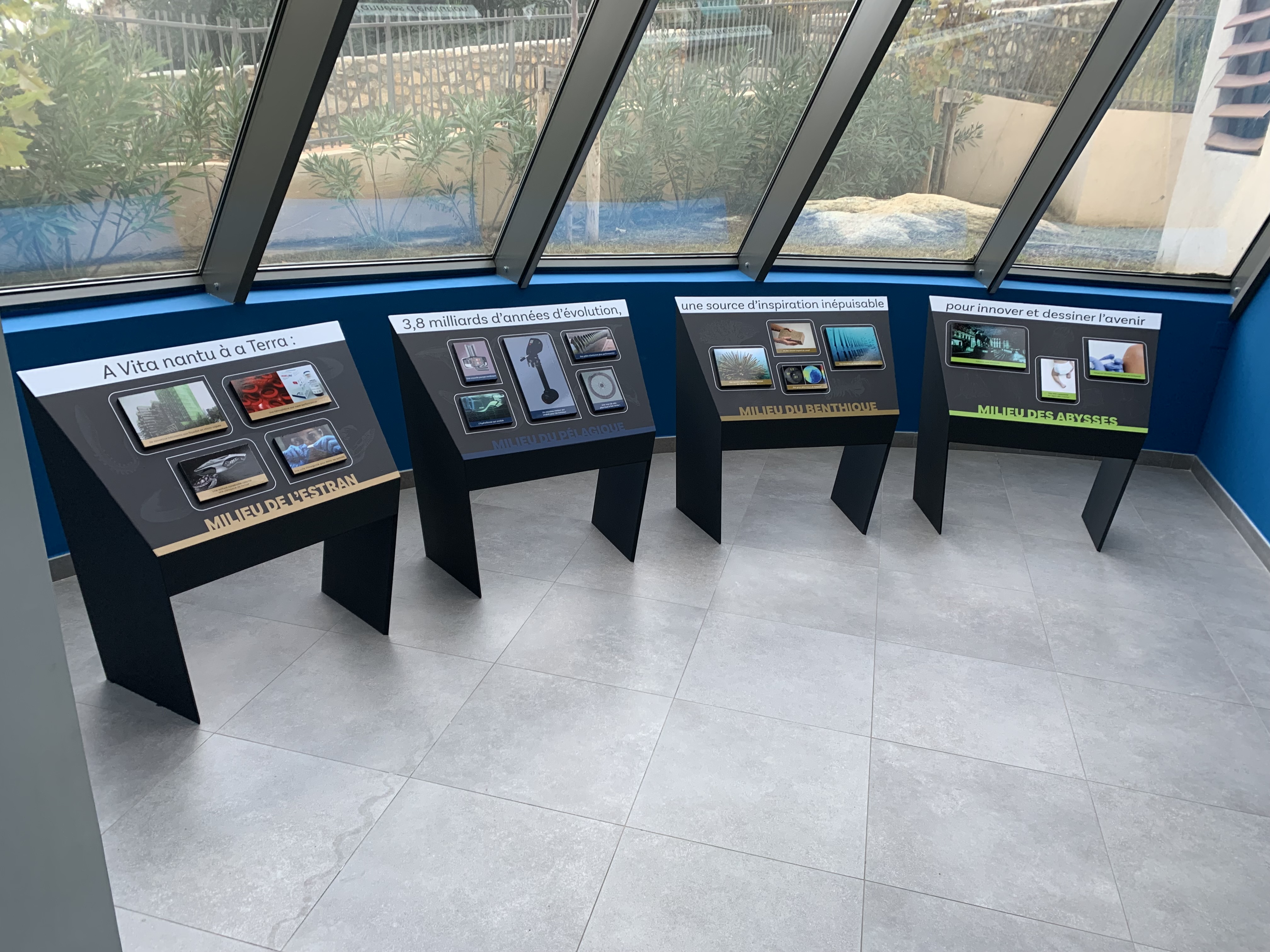 Le Biomimétisme s'expose à A Casa di e scenze di Bastia