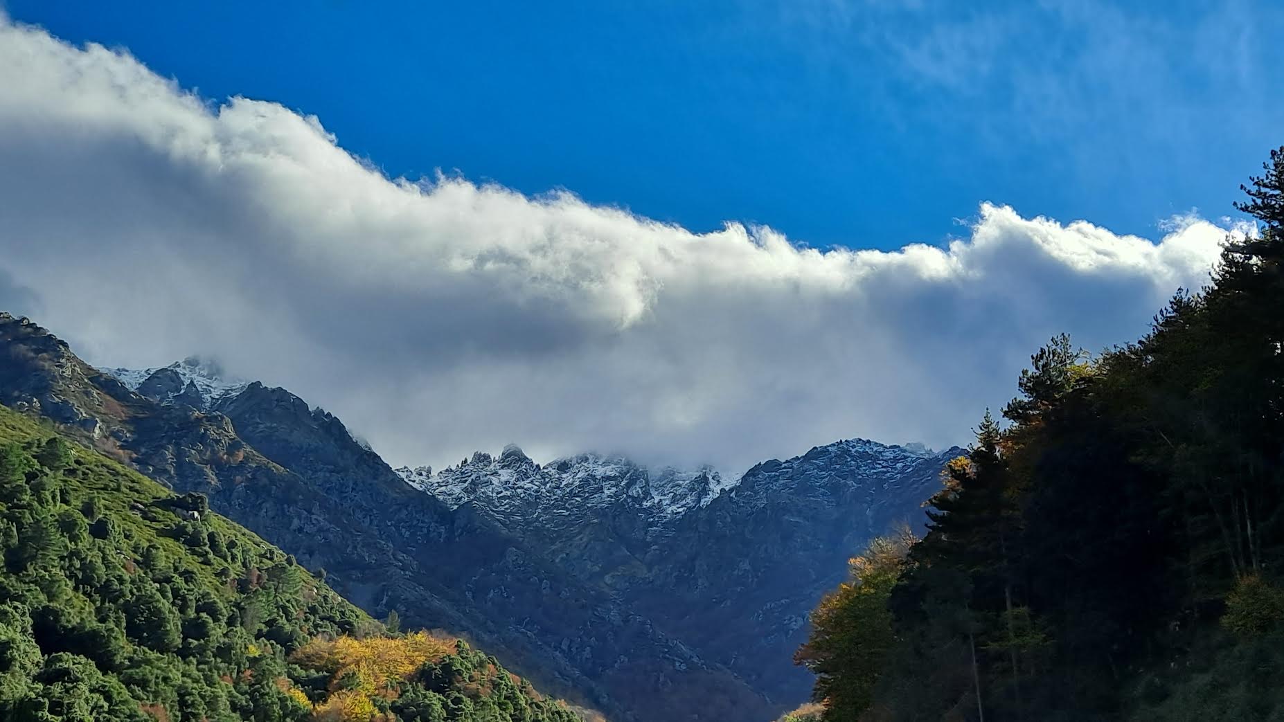 Au-dessus du col de Vizzavona (Marie Canarelli)