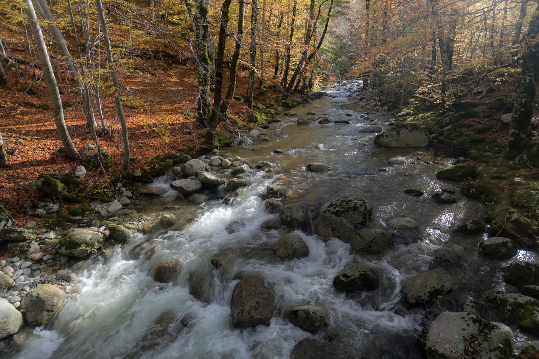 La photo du jour : l'Agnone di Vizzavona