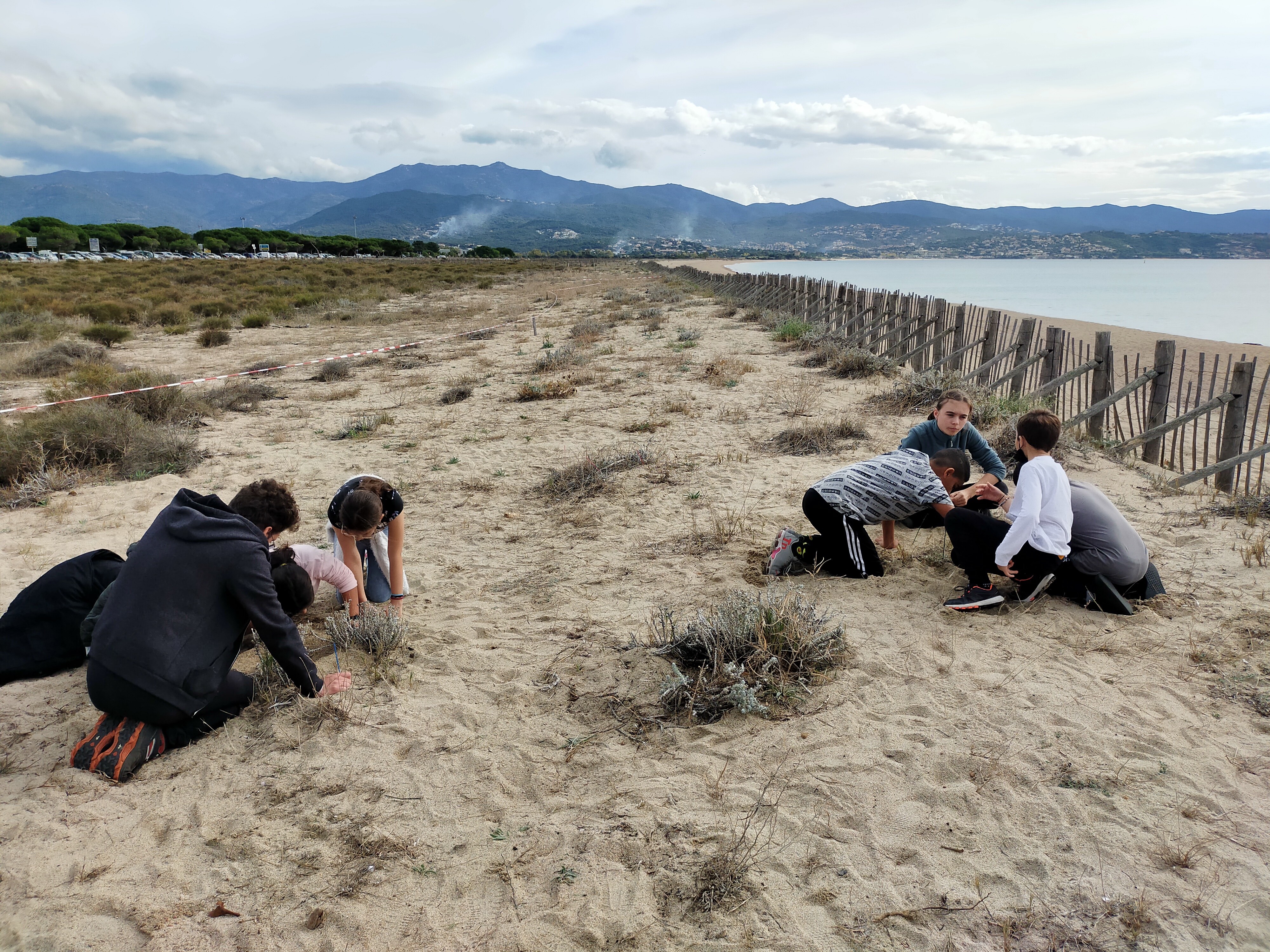 Les élèves des écoles ajacciennes découvrent l'escargot de Corse. Photo : Joséphine Brunet