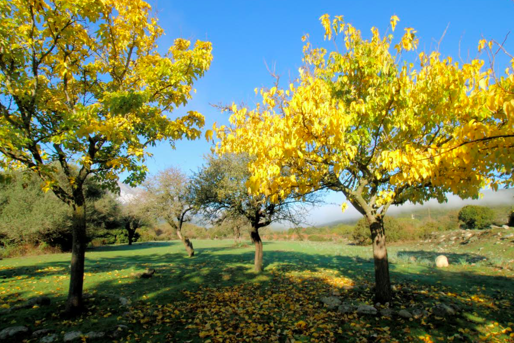 Crédit photo Hyacinthe Sambroni