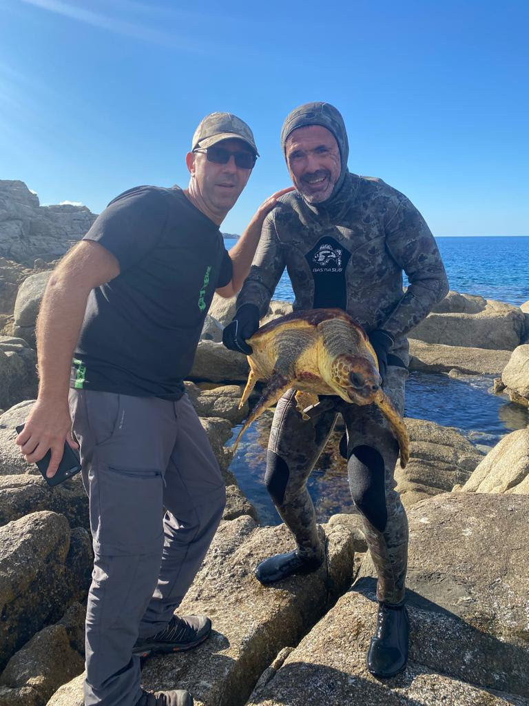 VIDEO - Lisula : sauvetage de la tortue Caouanne