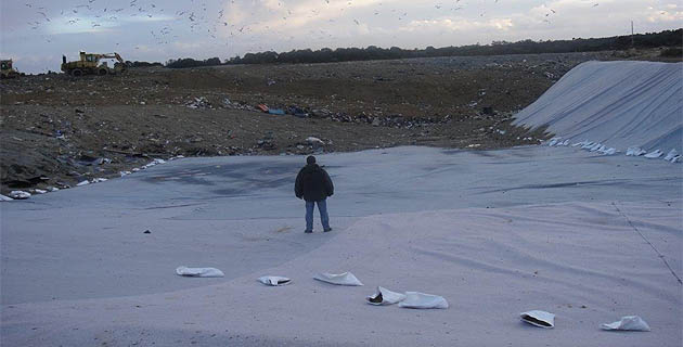 Tallone : La poubelle ou la vigne ?
