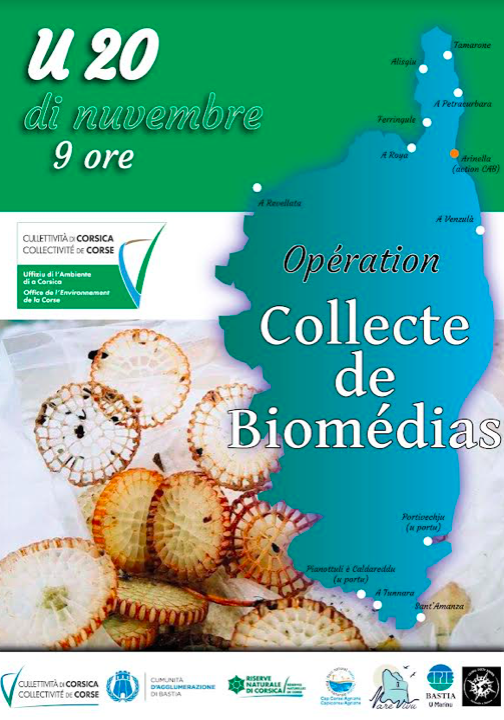 L'affiche de la manifestation