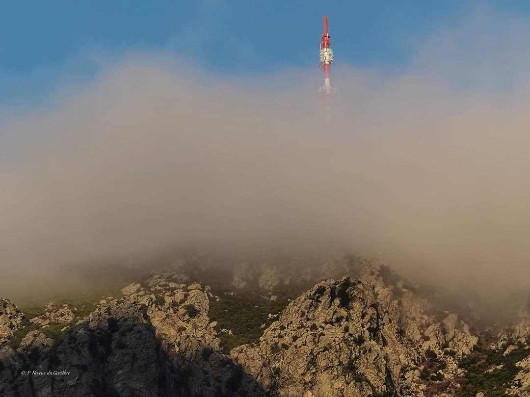 A. serra di Pignu dans la brume (Philippe Neveux)
