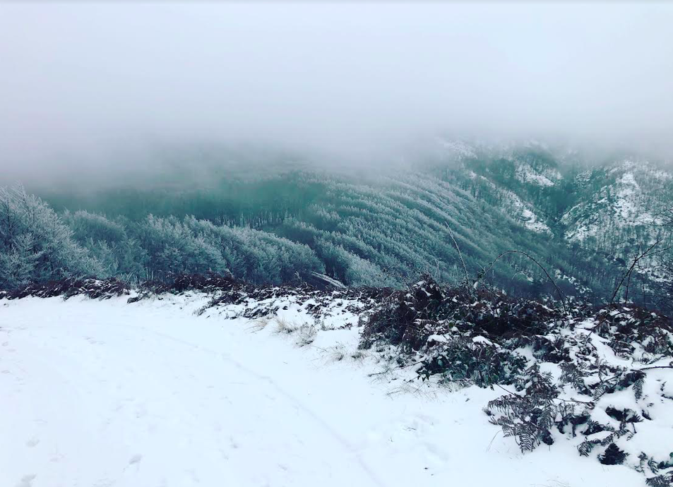 Voici la photo prise ce dimanche à Vizzavona par David Ventura