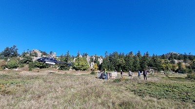 Relâcher de mouflons à Bavella (photo DREAL)