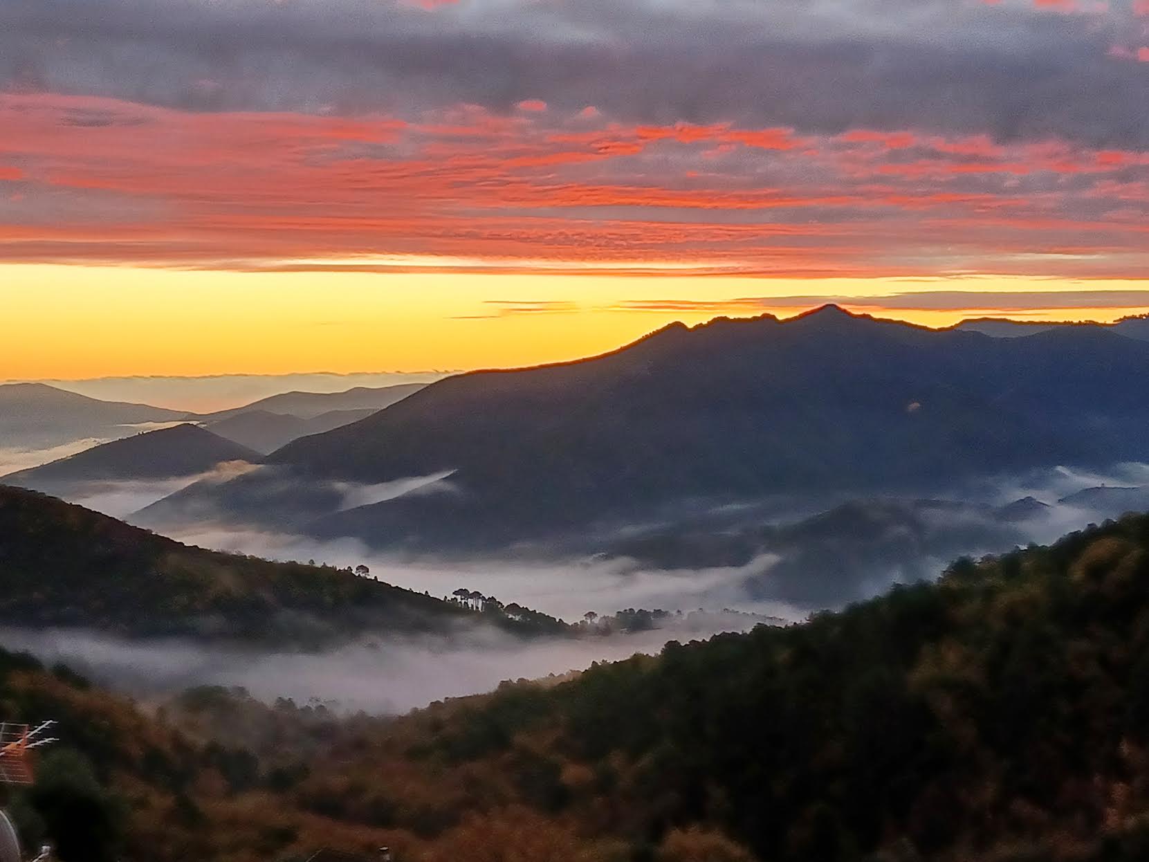 Les belles couleurs de Venaco (Pierrette Paoli)