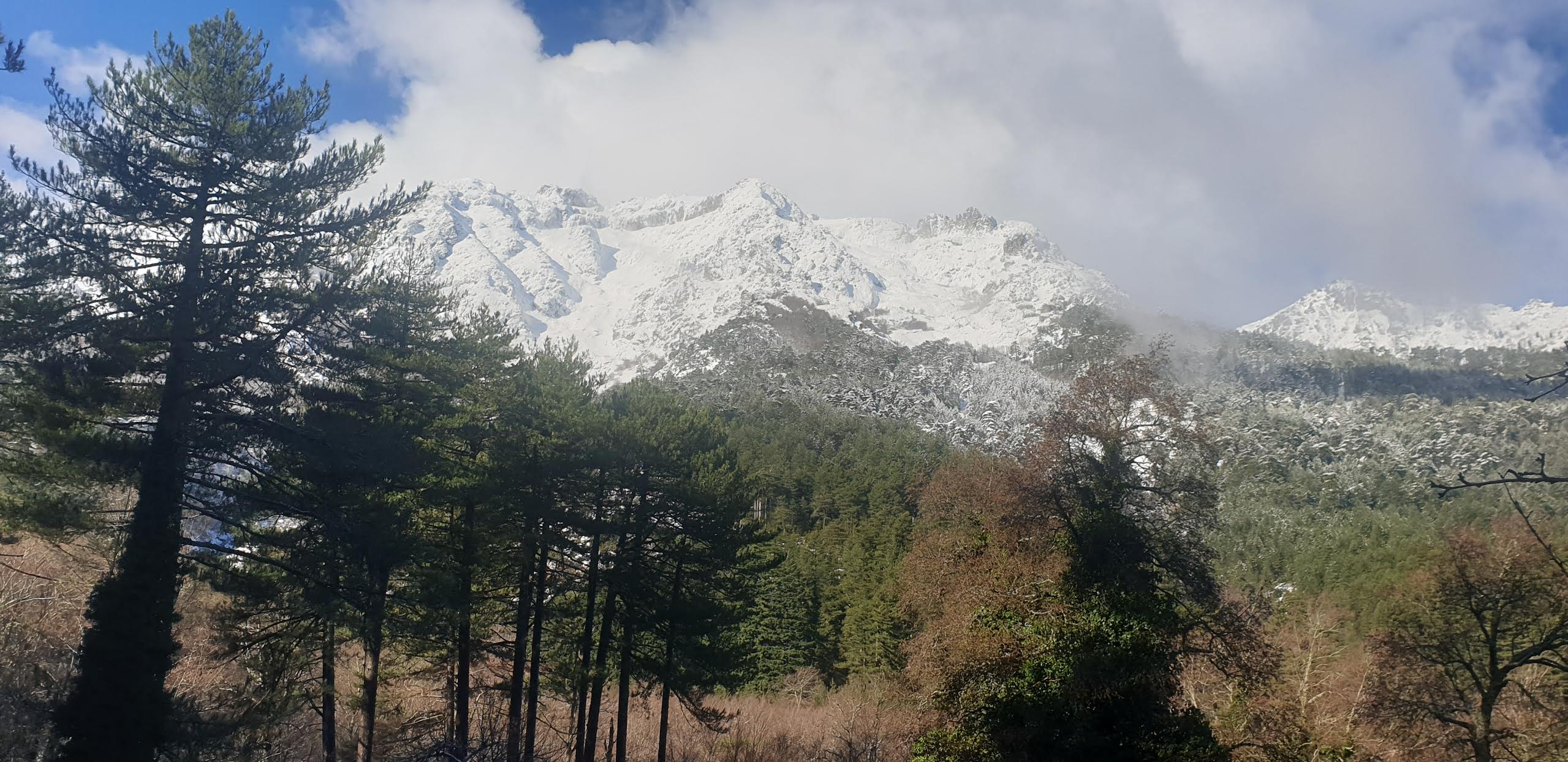 Le Monte d'Oru vu depuis Vizzavona (Lionel Santoni)