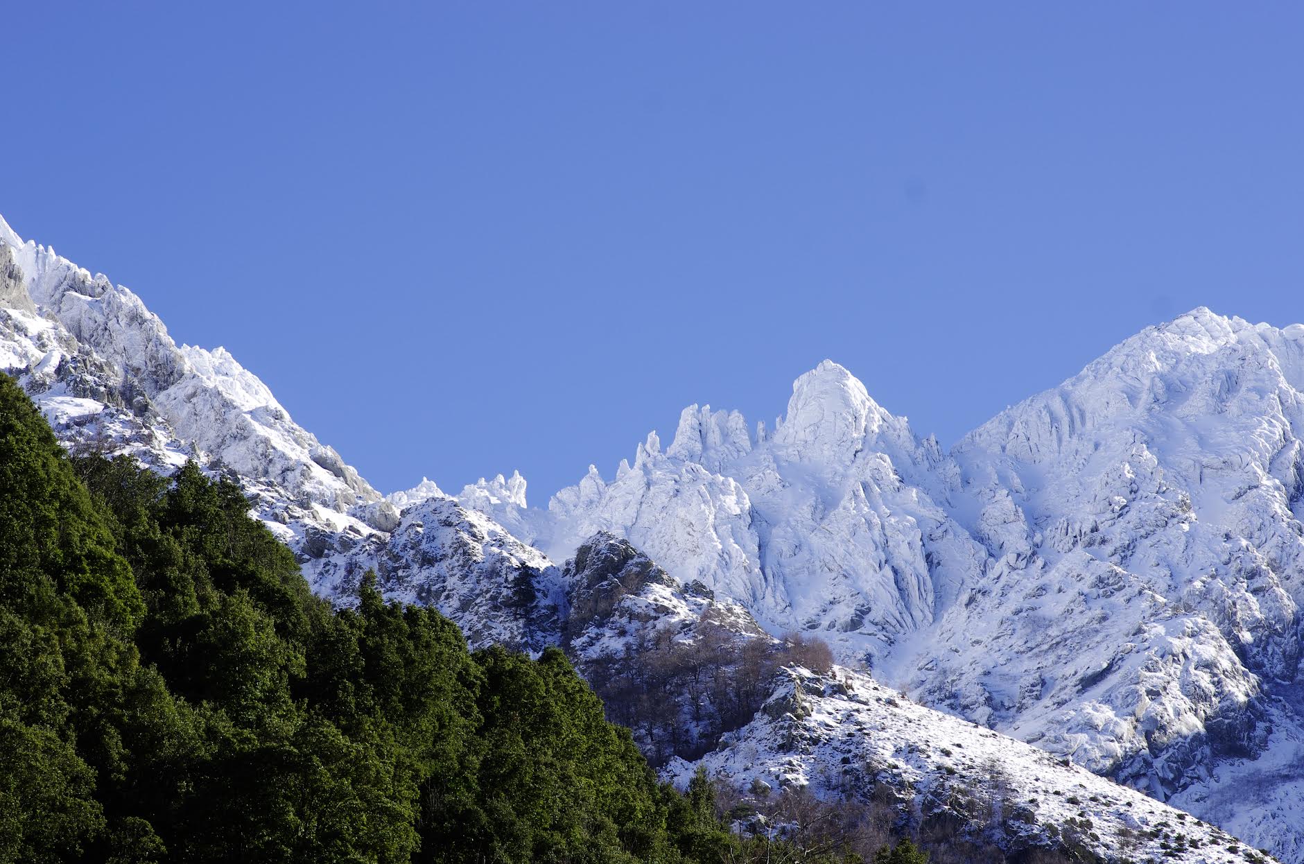En levant la tête dans haute Gravona (Joseph Dornbusch)