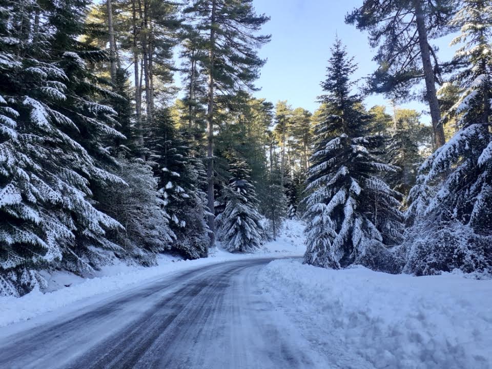 Ciel d'azur et soleil éclatant mais décor de Noël pour le col de Vergio ce lundi matin (Dominique de Bruxelles)