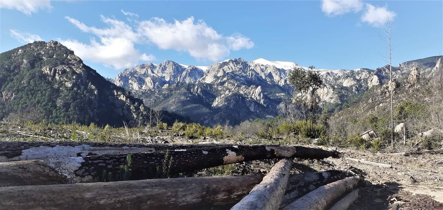 La photo du jour : une superbe vue du massif de Bavella 