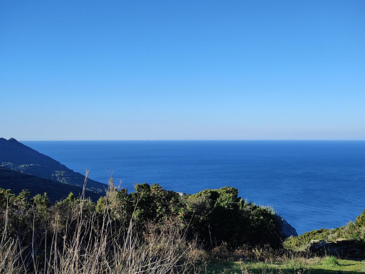 Pino ce vendredi matin (casabianca)