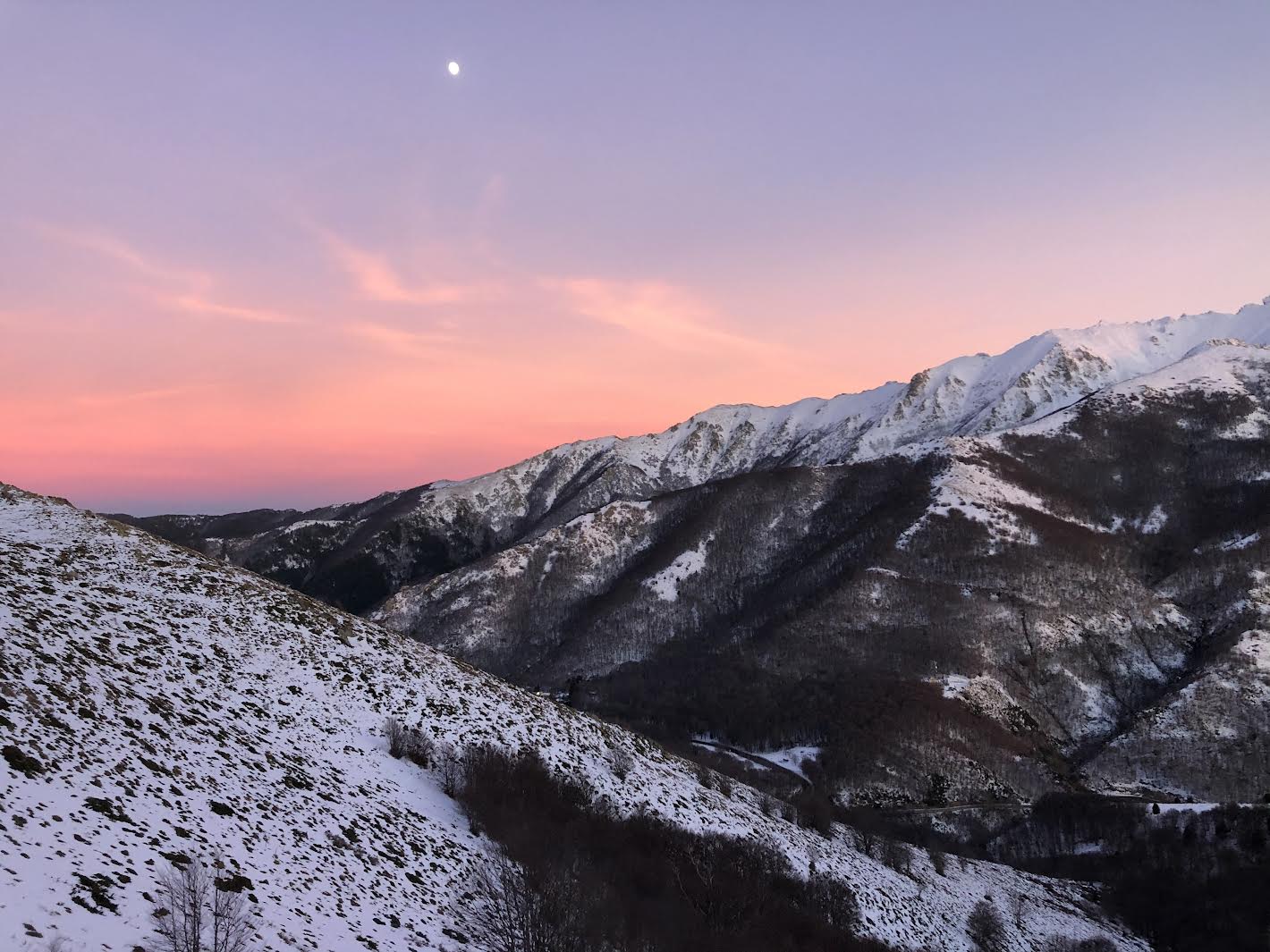 Vizzavona (David Dellacroce)