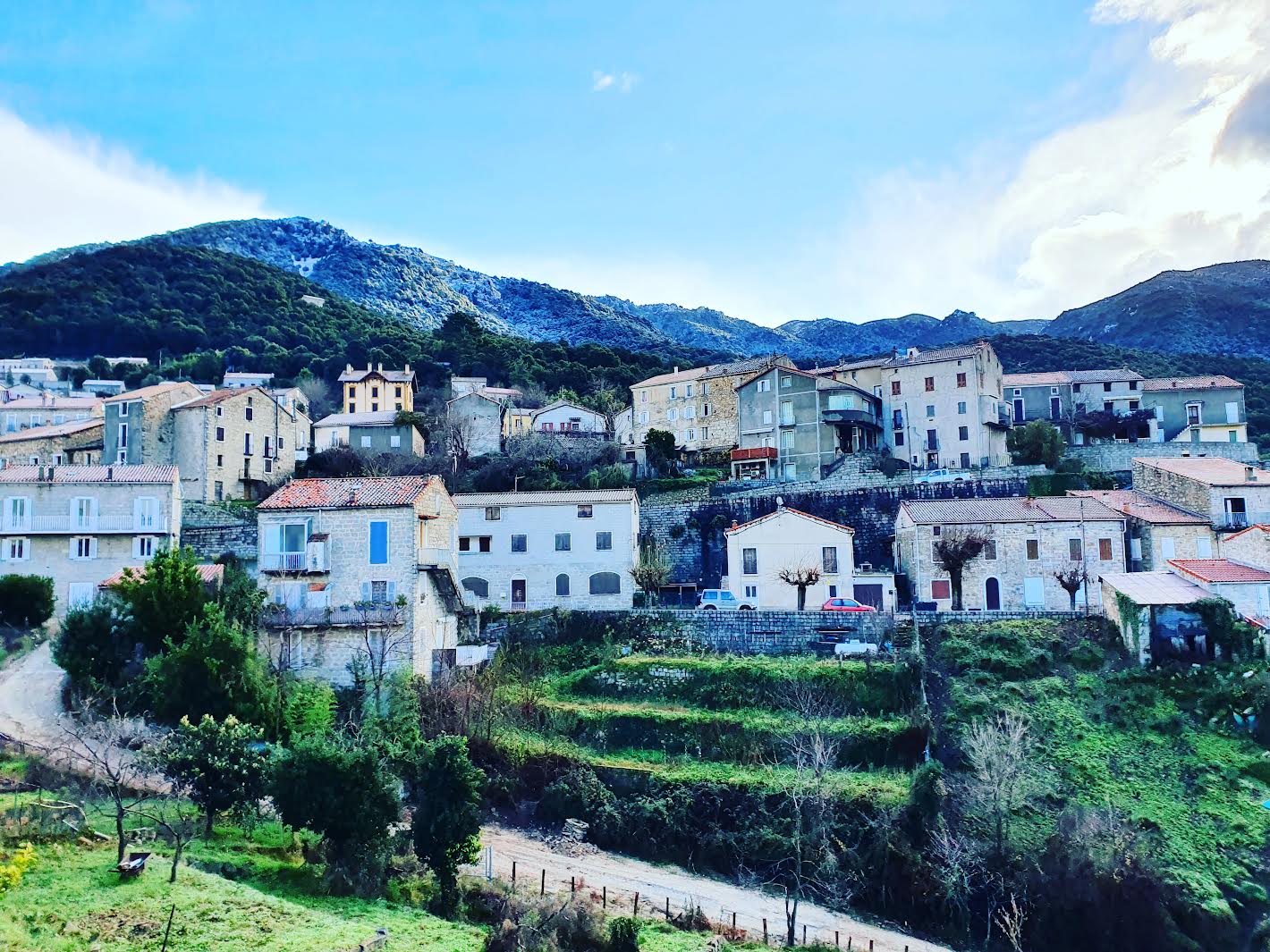 Le village d'Olivese