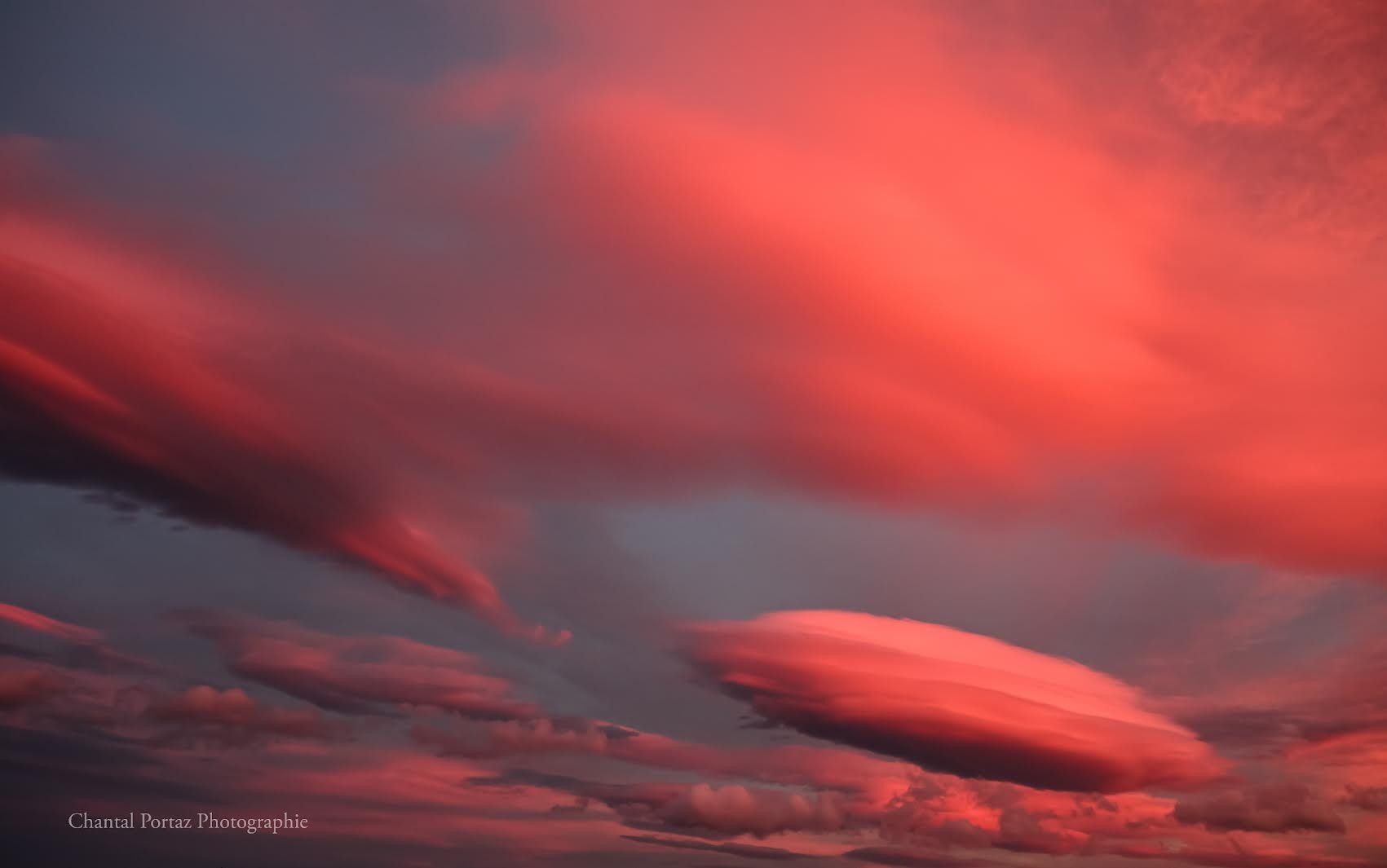 De magnifiques lenticulaires d'un rose irréel dans le ciel de Porto-Vecchio (Chantal Portaz-Biancarelli)