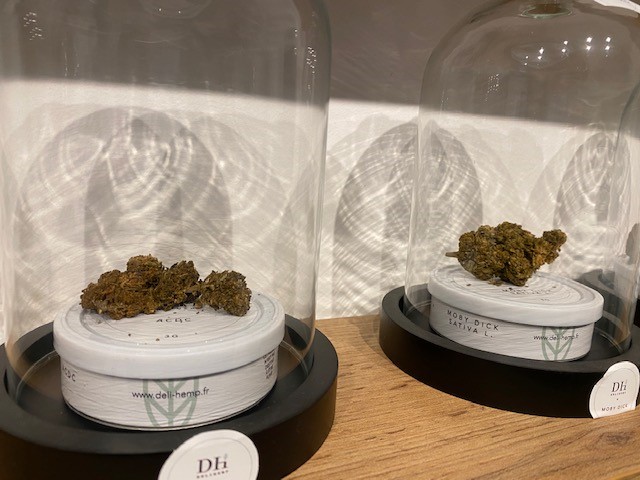 Les fleurs de chanvre représentent environ 75% des ventes des shop insulaires