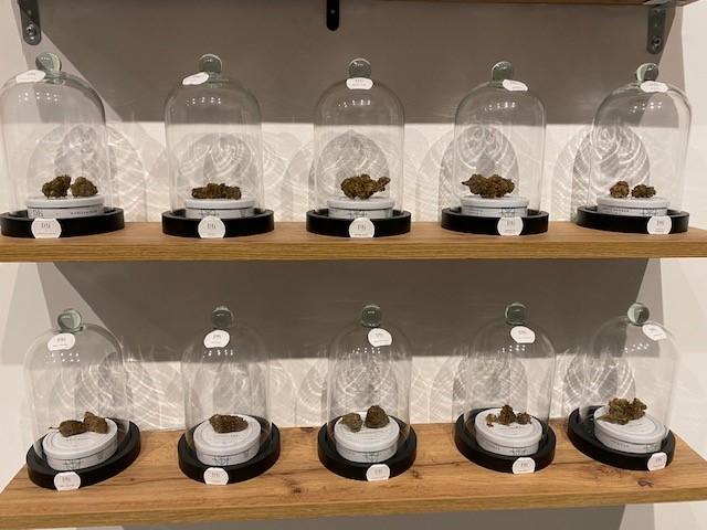 Dans le CBD, le THC soit la substance psychotrope est retirée pour garder les vertus apaisantes