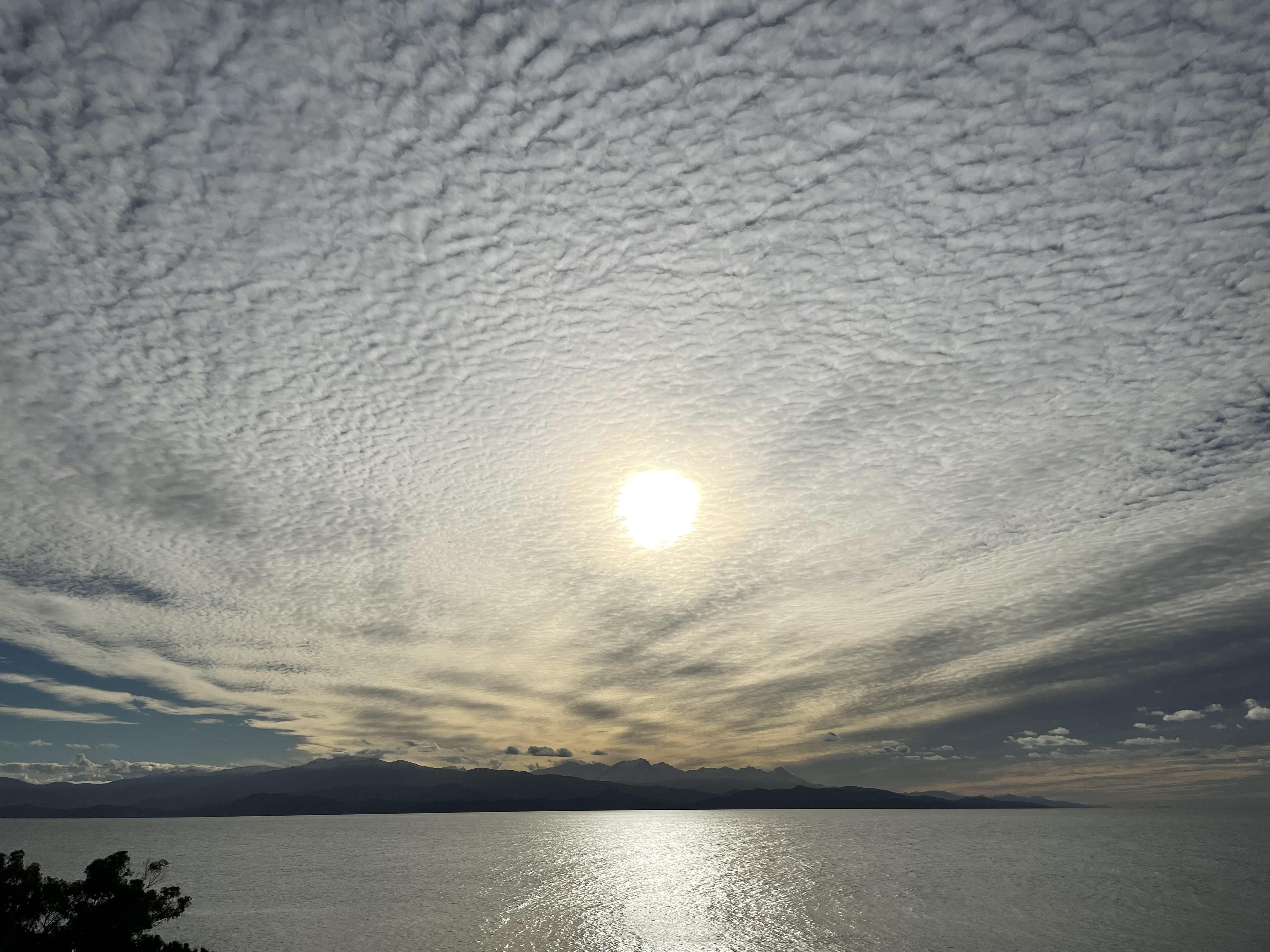 La marine de Canelle à Canari (Graziella Gassmann)