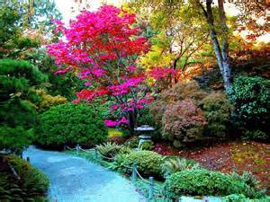 ARS : Mission "Culture et Santé", les projets pour 2014