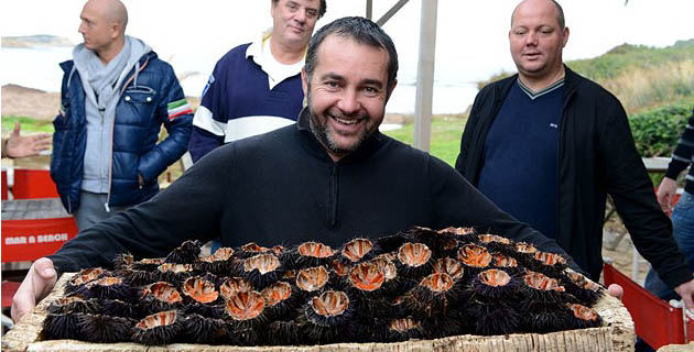 Oursinades géantes sur la presqu'île de la Revellata