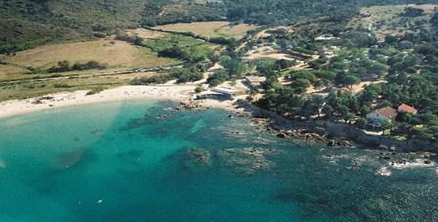 Portigliolo : Un bébé Rorqual s'échoue sur la plage