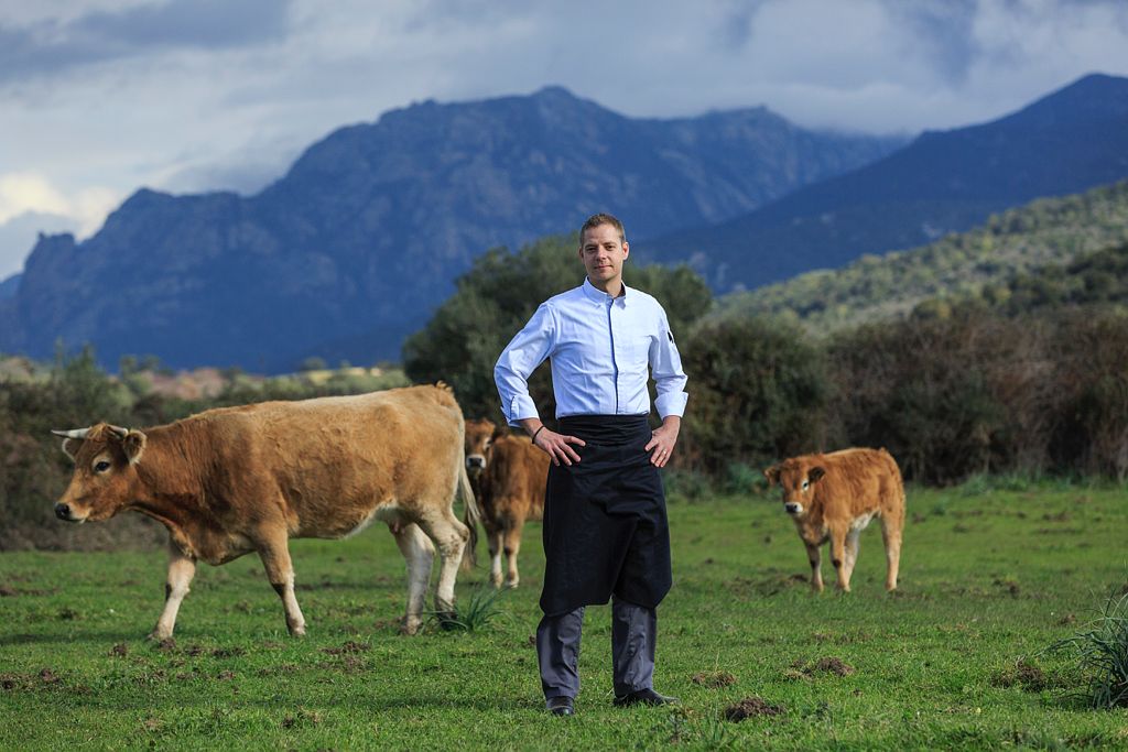 Photo : domaine de Murtoli