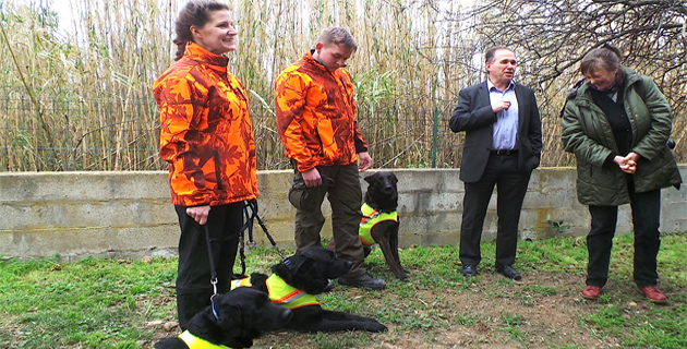 Première nationale : Des chiens engagés dans la lutte contre le capricorne asiatique à Furiani 