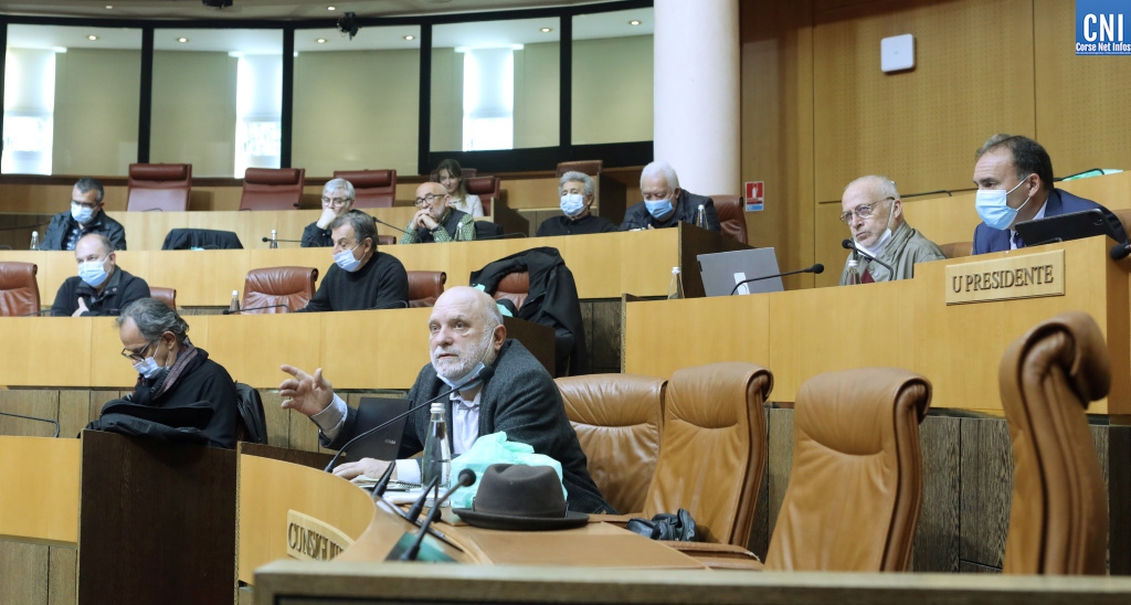 Le CESEC s'est réuni en séance plénière à l'Assemblée de Corse ce mardi 29 mars. Photo : Michel Luccioni