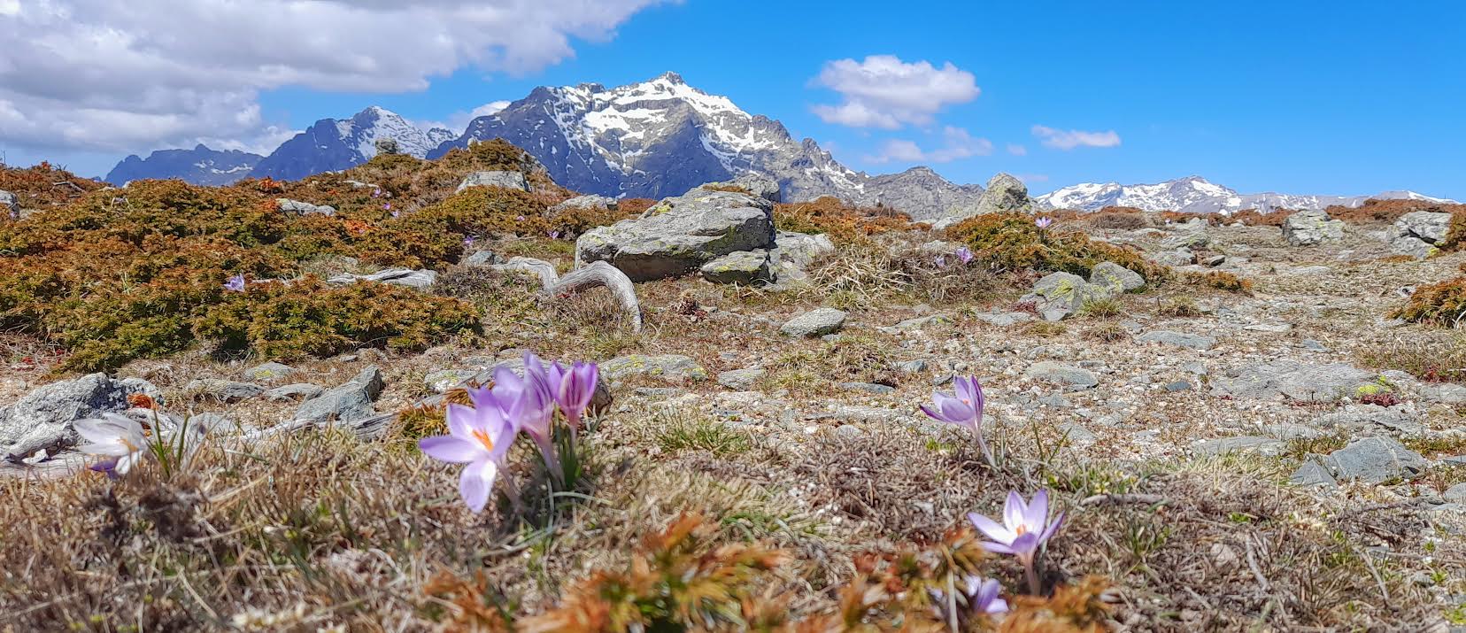 La photo du jour : le Monte d'Oru vu de Bocca Palmentu 