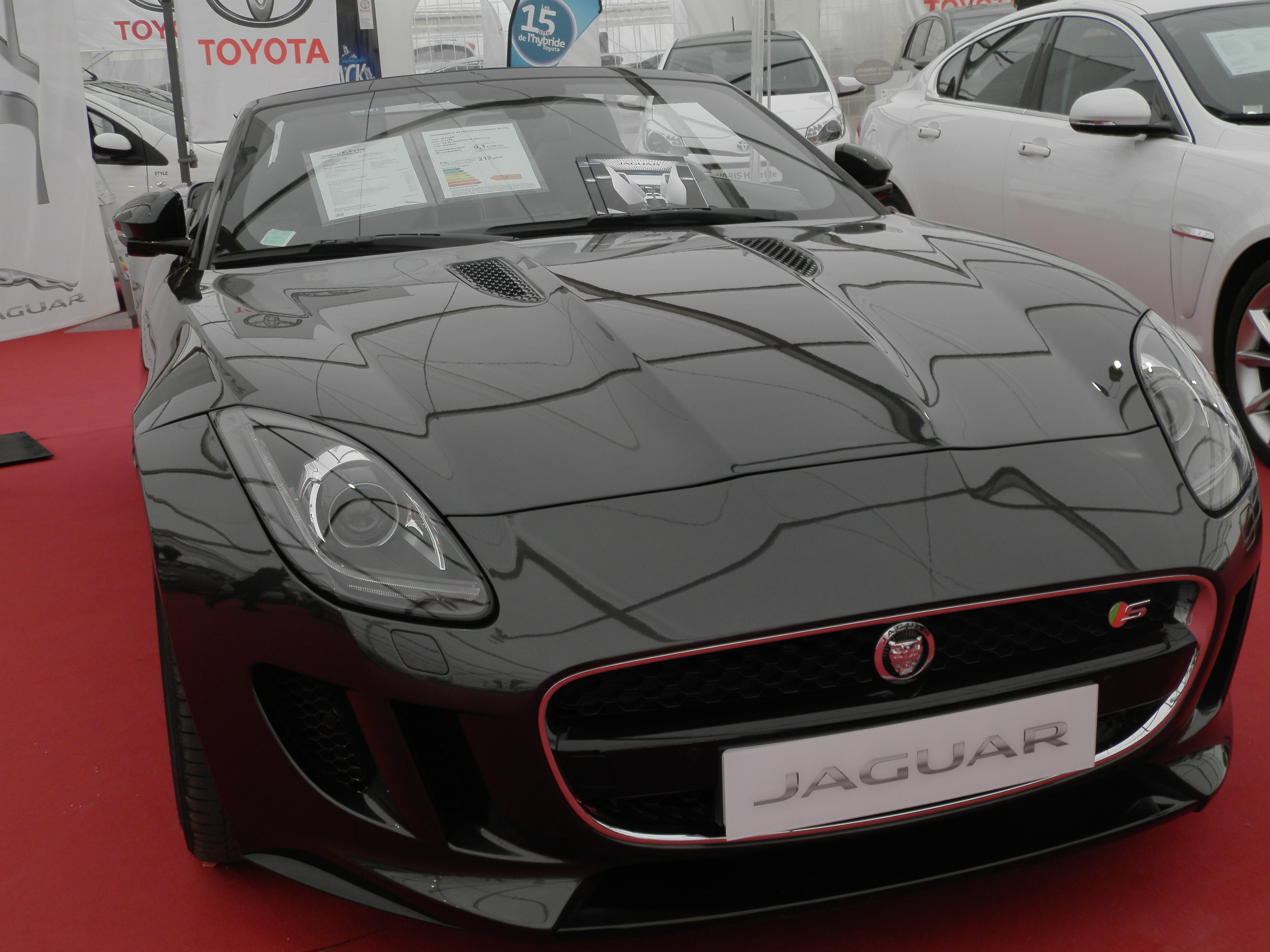 Ajaccio : Tapis rouge pour le salon de l'auto