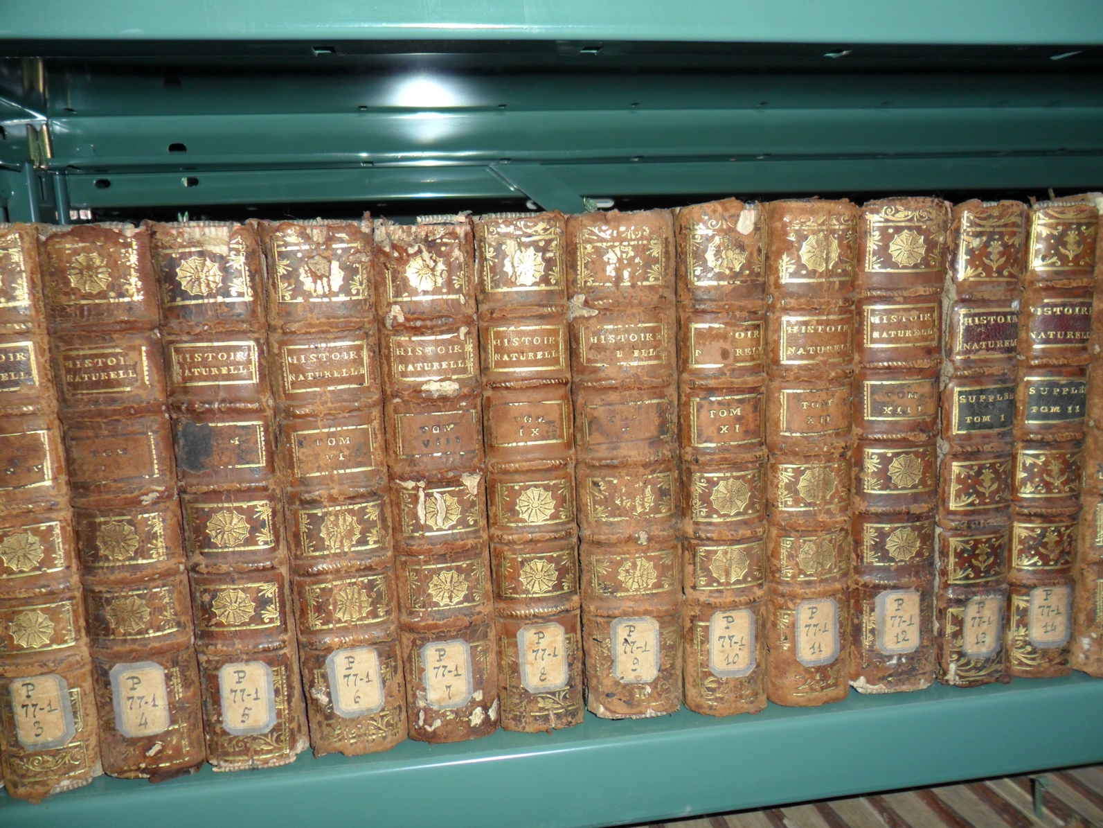 Bastia : "Livre voyageur" un projet du Lycée Jean-Nicoli 