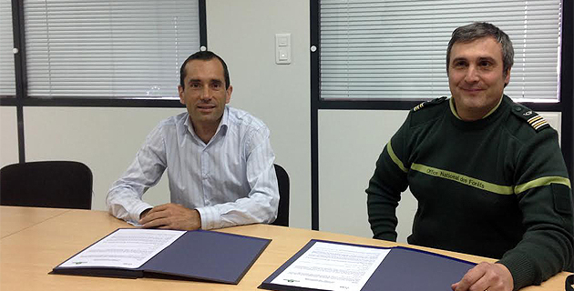 Préservation des forêts et des espèces corses : EDF et ONF unissent leurs moyens