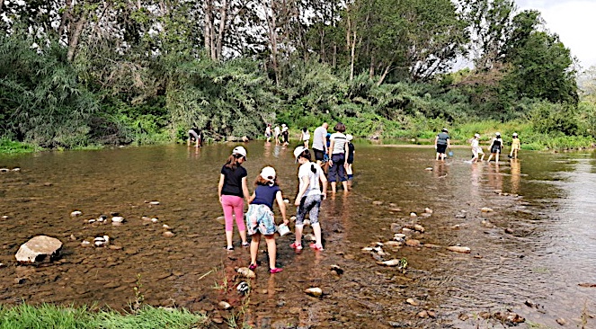 Dans le Golu et le Fium’altu. les enfants découvrent les cours d’eau, leur fonctionnement, leur débit, la faune et la flore qui y sont associées