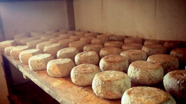 Sortie pédagogique avec les Jeunes Agriculteurs de Corse-du-Sud